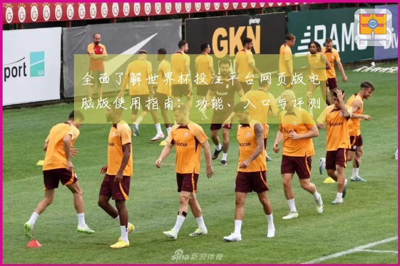 全面了解世界杯投注平台网页版电脑版使用指南：功能、入口与评测分析