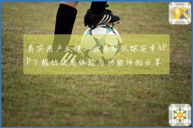 真实用户反馈：世界杯买球安卓APP下载的使用体验与功能评测分享